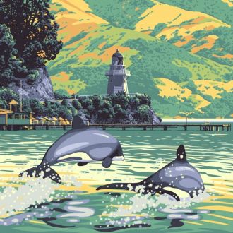 Dolphins by Ross Murray